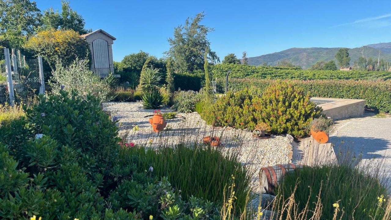 Вілла Quinta D'Arroteia Монсан Екстер'єр фото